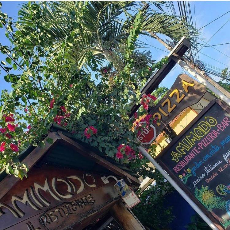 Amimodobeachrooms Puerto Viejo de Talamanca ภายนอก รูปภาพ