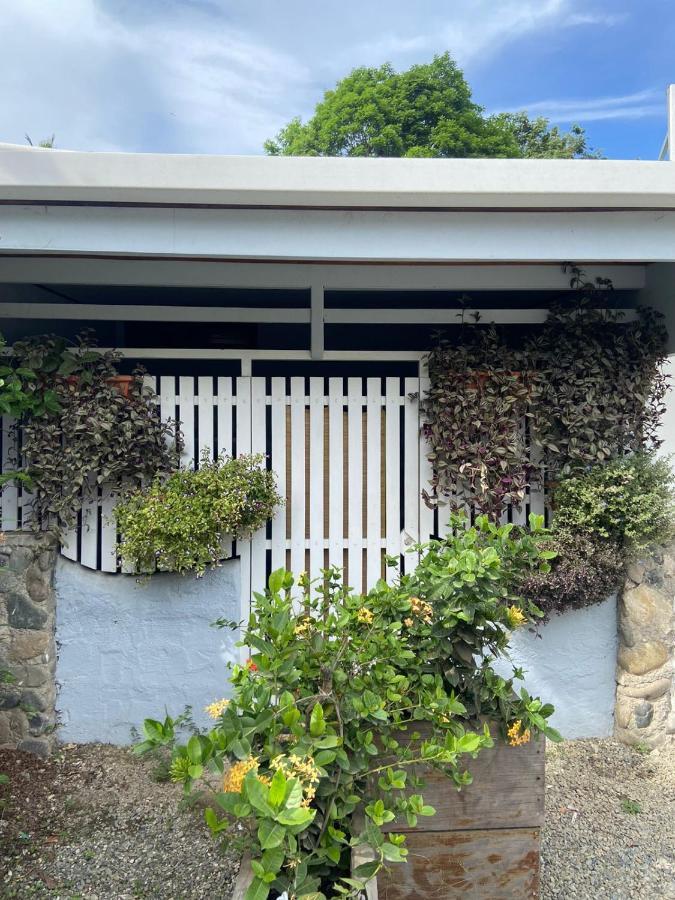 Amimodobeachrooms Puerto Viejo de Talamanca ภายนอก รูปภาพ
