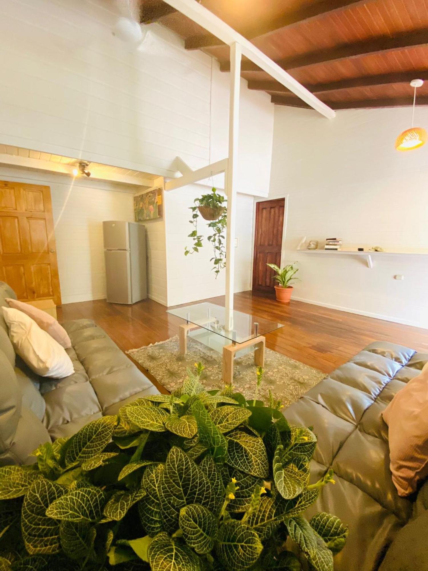 Amimodobeachrooms Puerto Viejo de Talamanca ภายนอก รูปภาพ