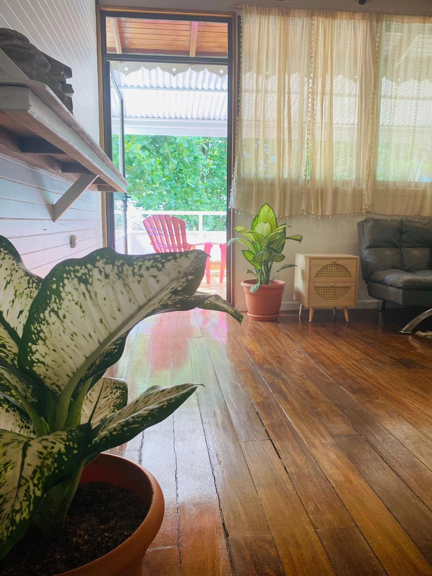 Amimodobeachrooms Puerto Viejo de Talamanca ภายนอก รูปภาพ